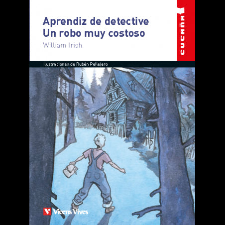 Aprendiz De Detective Un Robo Muy Costoso Fsc