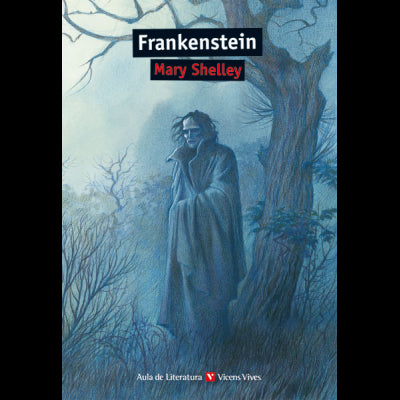 Frankenstein N/C- Aula De Literatura**